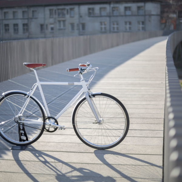 Vélo de ville vintage 1886